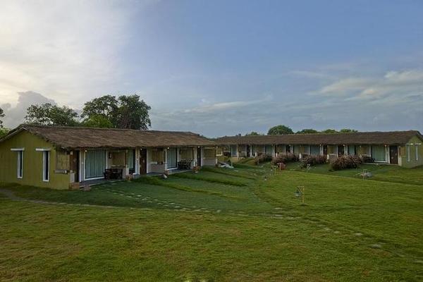 Asiatic Lion Lodge